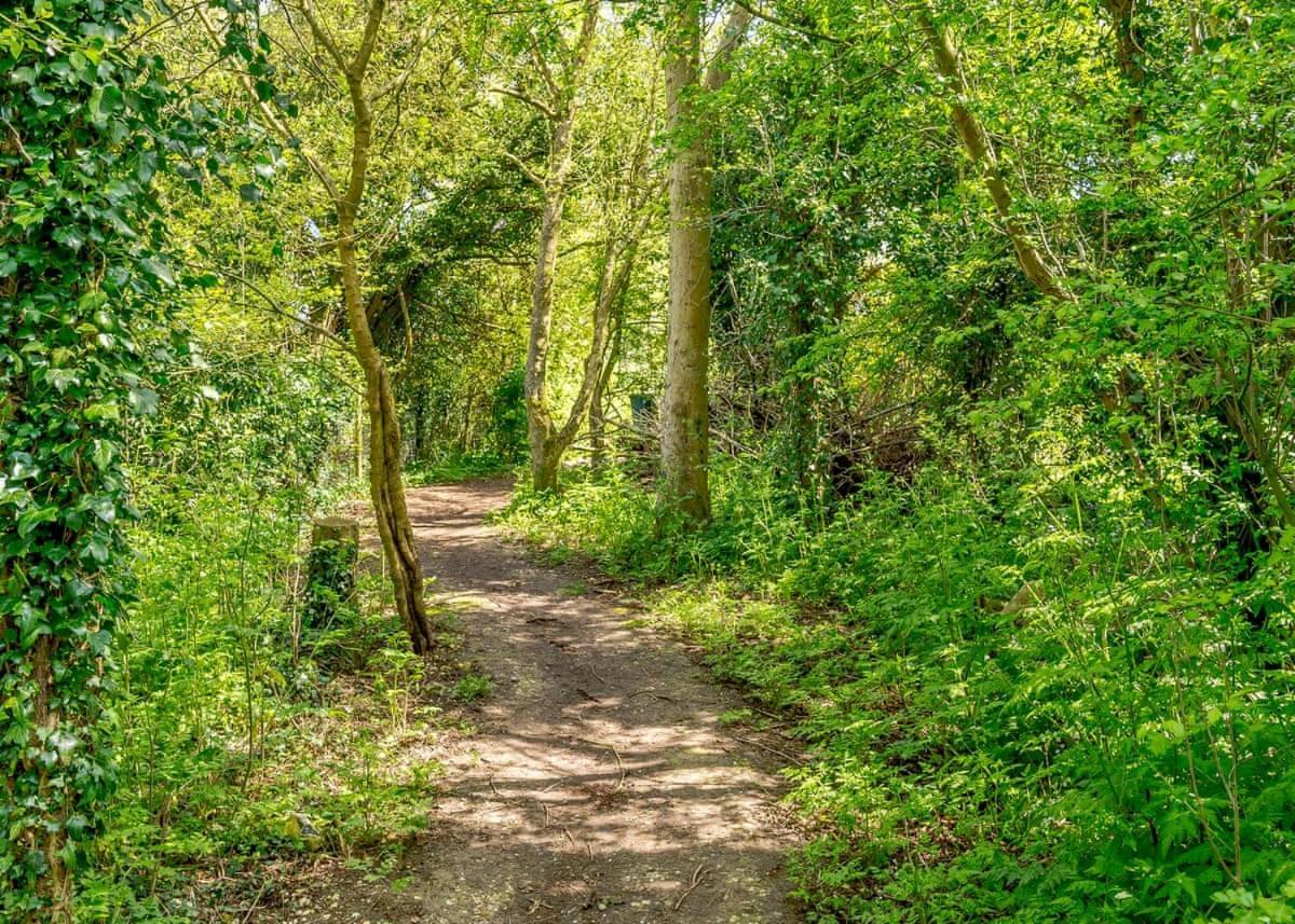 Canterbury Reach Lodge Retreat Petham Ngoại thất bức ảnh